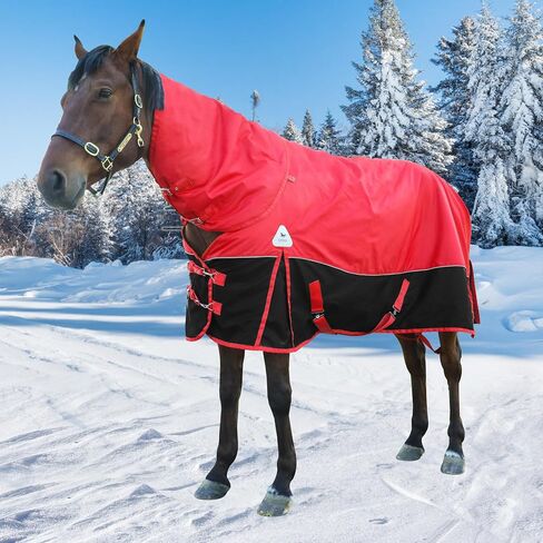 Horse Care Blanket Winter 1800D Premium Turnout Horse Blanket,Medium Weight Waterproof Blanket with Turnout Neck Cover Detachable (US78 in(EU 145 cm)) in Saudi Arabia