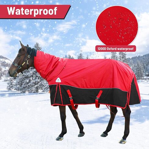 Horse Care Blanket Winter 1800D Premium Turnout Horse Blanket,Medium Weight Waterproof Blanket with Turnout Neck Cover Detachable (US78 in(EU 145 cm)) in Saudi Arabia