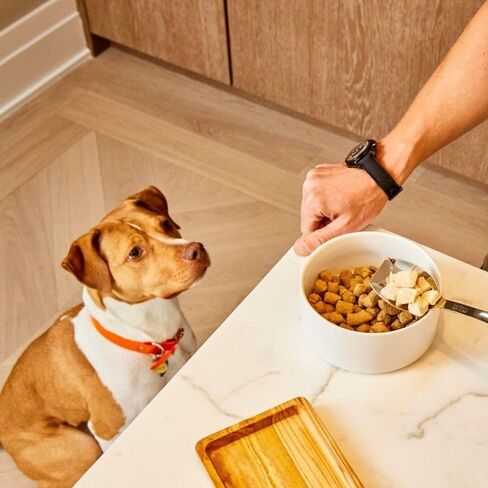 Cheddar Cheese Gourmet Meal Mix-Ins, 2.5 oz Dog Food Topper - Flavor Dog Food Topper for Dry Food - Freeze-Dried Dog Food Topper - Dog Food Add Ins & Mix-Ins - Dog Food Meal Toppers in Saudi Arabia