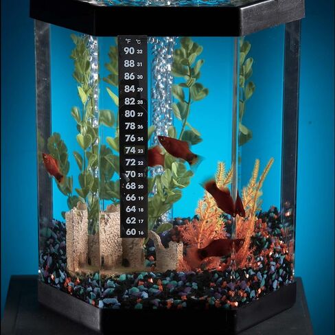 Stick on Thermometer Strip for Hermit Crabs or Aquarium Fish Tank Temperature Sticker Dual Scale C F, Pack of 2 in Saudi Arabia