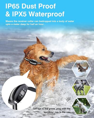 GPS Wireless Dog Fence for 2 Dogs, Electric Collar Fence Satellite Technology Pet Containment System by GPS Signal Boundary for Dogs with Waterproof & Rechargeable Collar Receiver in Saudi Arabia
