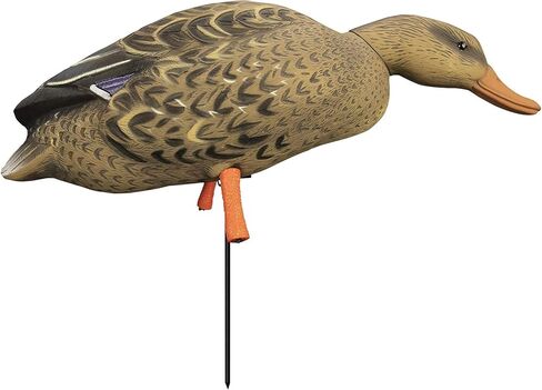 Higdon Outdoors Magnum Full-Body Mallard, Variety Pk, Flocked Heads + Bag, Multi in Saudi Arabia