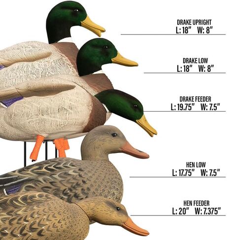 Higdon Outdoors Magnum Full-Body Mallard, Variety Pk, Flocked Heads + Bag, Multi in Saudi Arabia