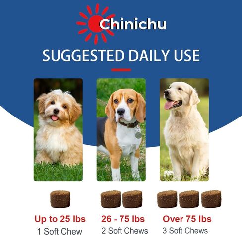 Probiotics for Dogs - Digestive Enzymes for Gut Flora, Digestive Health, Diarrhea & Bowel Support - Dog Supplement Soft Chew for Pet Immune System - Clinically Studied DE111 - Duck Flavor in Saudi Arabia