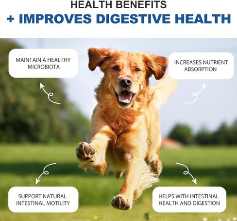 Probiotics for Dogs - Digestive Enzymes for Gut Flora, Digestive Health, Diarrhea & Bowel Support - Dog Supplement Soft Chew for Pet Immune System - Clinically Studied DE111 - Duck Flavor in Saudi Arabia