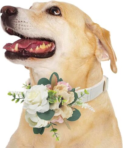 Rinlong Flower for Collars Fall Wedding Flower Dog Collar Charms Female Puppy Cat Grooming Accessory | Dried Flower Burnt Orange in Saudi Arabia