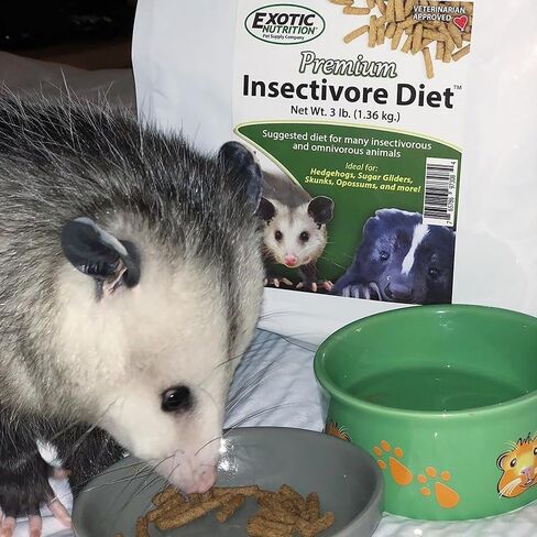 Premium Insectivore Diet (2.5 lb.) - Healthy Nutritious Chicken Based High Protein Pellet Diet - for Sugar Gliders, Hedgehogs, Opossums, Skunks & Other Insectivores in Saudi Arabia