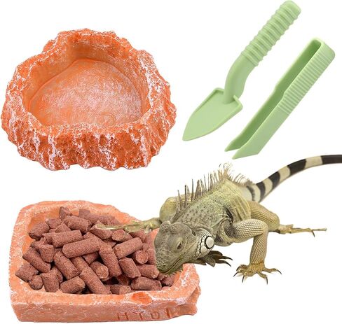 Reptile Feeding Dish Water Bowls, 2 Pack Reptile Water Dish Food Bowl with Shovel and Tweezer, Reptile Feeding Bowls for Bearded Dragon Lizard Tortoise Hermit Crab in Saudi Arabia