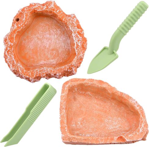 Reptile Feeding Dish Water Bowls, 2 Pack Reptile Water Dish Food Bowl with Shovel and Tweezer, Reptile Feeding Bowls for Bearded Dragon Lizard Tortoise Hermit Crab in Saudi Arabia