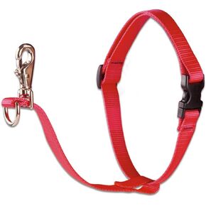LupinePet Basics 1" Red 26-38" No Pull Harness for Medium-Larger Dogs