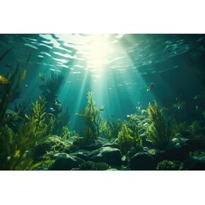 Ocean Aquarium Background Aquatic Plants with Rocks Terrarium Backdrop Sunlight Rays Deep Sea Fish Tank Background Aquarium Wallpaper Poster Decor Vinyl 36x20in