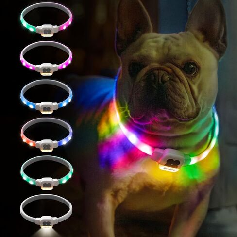 MEWOOFUN طوق الكلب المضيء، طوق الكلب LED مع USB قابل لإعادة الشحن يتوهج في أطواق الكلاب الداكنة، قلادة كلب مقاومة للماء مع 6 أوضاع وامض للكلاب الصغيرة (أبيض، صغير) in Saudi Arabia