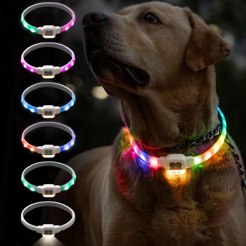MEWOOFUN طوق الكلب المضيء، طوق الكلب LED مع USB قابل لإعادة الشحن يتوهج في أطواق الكلاب الداكنة، قلادة كلب مقاومة للماء مع 6 أوضاع وامض للكلاب الصغيرة (أبيض، صغير) in Saudi Arabia