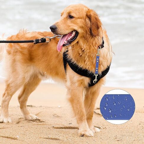 PetBonus Dog Collar Safety Clip, Waterproof Backup Safety Strap for Dog Harness to Prong Collar, Odor Proof Double Ended Clasp Leash Connector for Training Walking (Black) in Saudi Arabia