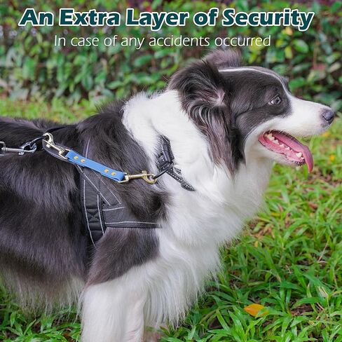 PetBonus Dog Collar Safety Clip, Waterproof Backup Safety Strap for Dog Harness to Prong Collar, Odor Proof Double Ended Clasp Leash Connector for Training Walking (Black) in Saudi Arabia