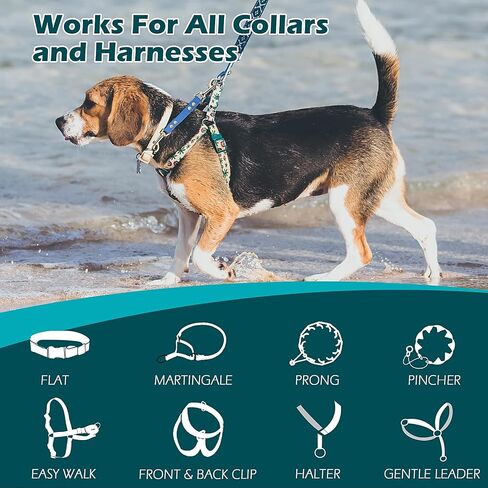 PetBonus Dog Collar Safety Clip, Waterproof Backup Safety Strap for Dog Harness to Prong Collar, Odor Proof Double Ended Clasp Leash Connector for Training Walking (Black) in Saudi Arabia