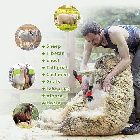 PAT JUUMG 1000W Sheep Shears Electric Farm Livestock Haircut with 2 Blades Professional Animal Clippers 6 Speed Heavy Duty Electric for Thick Horses Sheep Alpacas Goats(Red) in Saudi Arabia