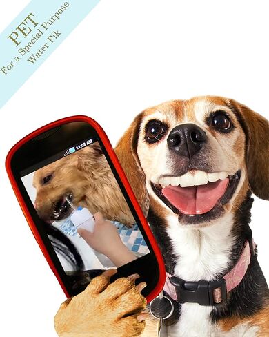 جهاز تنظيف الأسنان بالماء اللاسلكي للعناية بالأسنان للحيوانات الأليفة، منظف أسنان الماء المحمول للكلاب، جهاز ري الفم مع 3 أوضاع، طرفين نفاثين IPX7، مقاوم للماء، الحيوانات الأليفة والقطط والكلاب، تنظيف أسنان (أزرق) in Kuwait