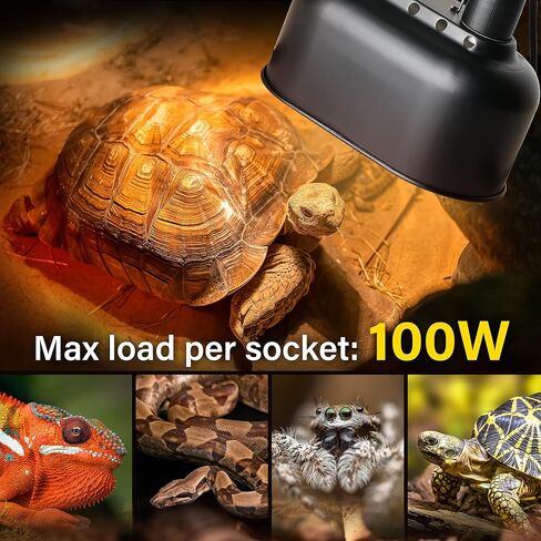 Simple Deluxe Dual Dome Reptile Light Fixture with Separate Switches, Fits Max 100W Reptile Heat Lamp/UVB Light, for Amphibians Terrarium and Tortoise Habitat in Kuwait