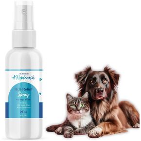 Replenish Dog Hot Spot Spray for Pets - Dr. Rachel's Hydrocortisone and Pramoxine Formula for Dog Hot Spot Remedy, Insect Bites, and Skin Conditions in Dogs, Cats, and Horses - 4 oz