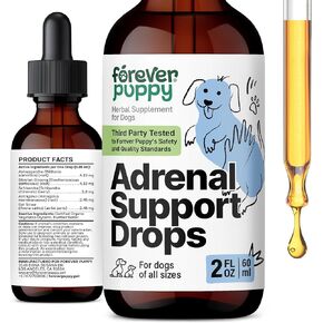 Adrenal Support for Dogs - Calming Drops for Dogs w/Liquid Ashwagandha & Schisandra Berry - Adrenal Drops for All Breeds & Sizes - Liquid Dog Vitamins and Supplements for Adrenal Health - 2 oz