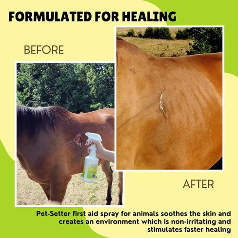 Animal Wound and Skin Care Spray for all Pets Dog and Cat Cleanser Will Soothe Skin Irritations Treat Cuts Provide Itch Relief Eliminate Pet Odor Even Bad Breath Made in USA 16 Oz in Saudi Arabia