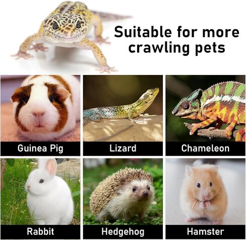 مقود وحزام التنين الملتحي 3 مقاسات، مقود جلدي للزواحف السحلية قابل للتعديل لخنزير غينيا والحرباء والحيوانات الصغيرة الأخرى - أصفر in Saudi Arabia