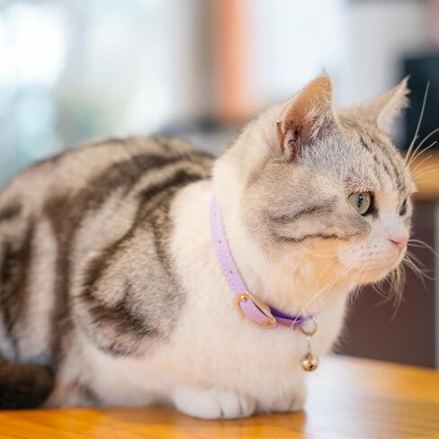 Cat Collar with Bells,Kitten Collar for Boy & Girl Leather cat Collar Breakaway with Safety Elastic Strap (Neck Fit 8"-11",Purple) in Saudi Arabia