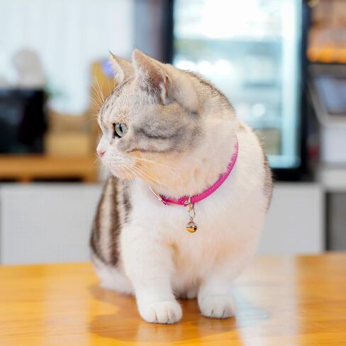Cat Collar with Bells,Kitten Collar for Boy & Girl Leather cat Collar Breakaway with Safety Elastic Strap (Neck Fit 8"-11",Purple) in Saudi Arabia