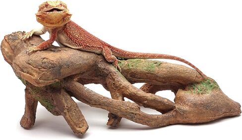 CAROLINACUSTOMCAGES جذر كبير معقود، بني، ملحق لموائل الزواحف in Kuwait