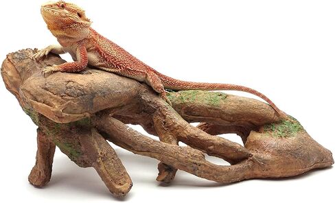 CAROLINACUSTOMCAGES جذر كبير معقود، بني، ملحق لموائل الزواحف in Kuwait