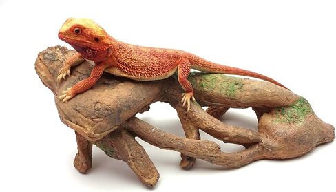 CAROLINACUSTOMCAGES جذر كبير معقود، بني، ملحق لموائل الزواحف in Kuwait