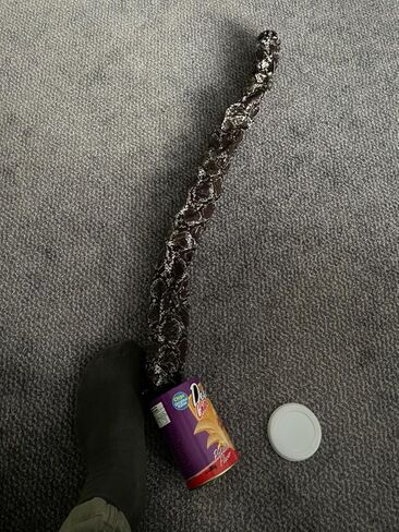 شريحة بطاطس Miuion ثعبان في علبة مزحة مضحكة حجم كبير لعيد كذبة أبريل وديكور حفلات الهالوين - صغير in Kuwait