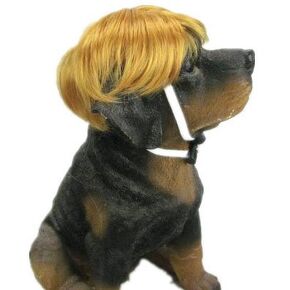 Tanya Amazing Gentleman Style Pet Wig Dog Wig 1pc Golden Brown Color