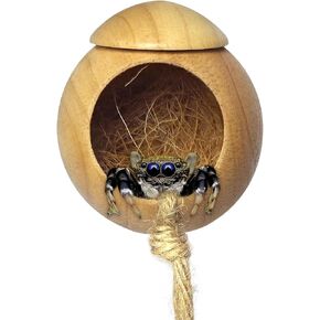 Jumping Spider Hide, Natural Wood Jumping Spider Habitat with Suction Cup, Handmade Spider Enclosure Accessories, Tarantula Enclosure, Spider Climbing Toys