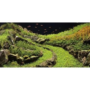 AWERT 30x12 inches Stone Aquarium Background Aquatic Plant River Bed & Lake Fish Tank Background Vinyl Background