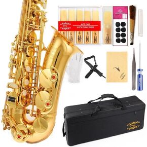 Glory Black/Silver keys E Flat Alto Saxophone with 11reeds,8 Pads cushions,case,carekit-More Colors with Silver or Gold keys