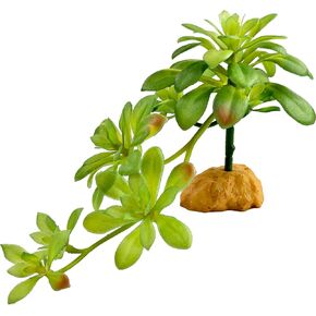 Woyrise Reptile Plants Succulent, Artificial Desert Plant for Terrarium Decor, Bearded Dragon Tank Accessories fit Gecko Lizard Chameleon Ball Python Snake - Sedum Palmeri