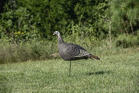 Hunters Specialties HS Strut Lite Hen Turkey Foldable Hollow Body Realistic Decoy in Kuwait
