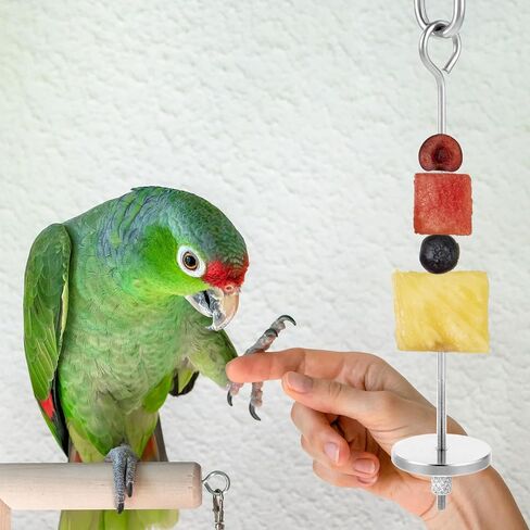 Bird Skewer, Bird Food Holder Bird Cage Food Holder Hanging Food Bird Skewer Stainless Steel Parrot Hanging Vegetable Fruit Feeder Parrot Foraging Toy for Parrots Cockatoo Cockatiel(23 cm) in Saudi Arabia