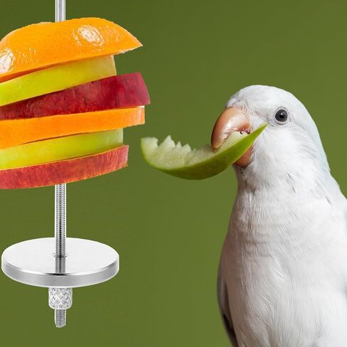 Bird Skewer, Bird Food Holder Bird Cage Food Holder Hanging Food Bird Skewer Stainless Steel Parrot Hanging Vegetable Fruit Feeder Parrot Foraging Toy for Parrots Cockatoo Cockatiel(23 cm) in Saudi Arabia