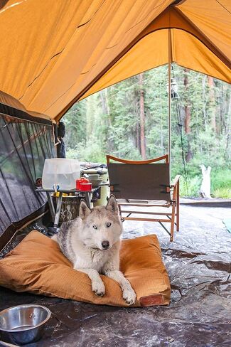 Durable & Comfortable Canvas Dog Bed, Premium Quality Water-Repellent Coating & Dirt Resistance, Removable & Washable Outer Cover, Heavy Duty Zippers for Small & Medium Size Dogs (Large, Tan) in Kuwait