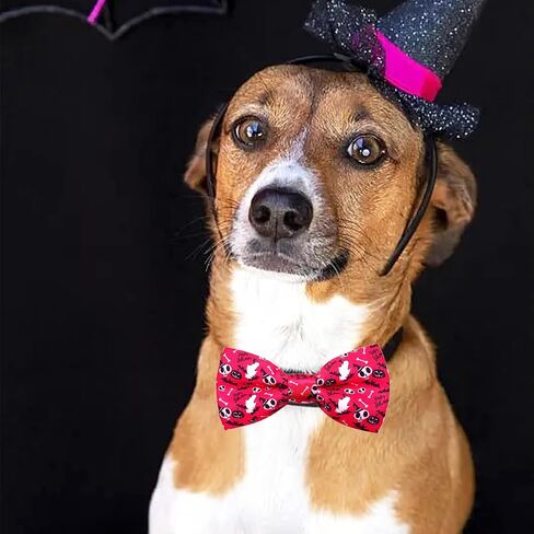PET SHOW 10 Pack Mardi Gras Small Dog Bow Ties Sliding Collar Attachment Puppies Cats Pet Bowties for Holiday Party Bowknots Collar Charms Grooming Accessories in Saudi Arabia