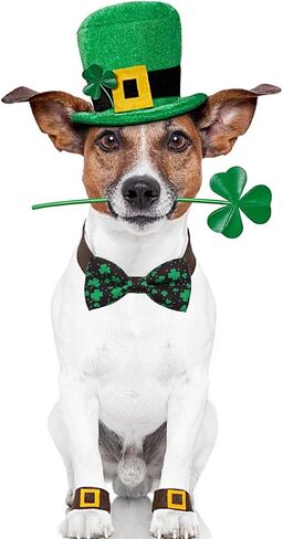 PET SHOW 10 Pack Mardi Gras Small Dog Bow Ties Sliding Collar Attachment Puppies Cats Pet Bowties for Holiday Party Bowknots Collar Charms Grooming Accessories in Saudi Arabia
