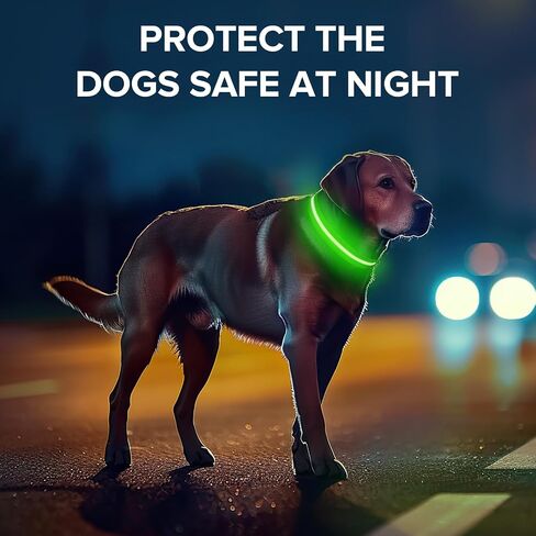 Led Dog Collar for Night Walking,Rechargeable Light Up Dog Collar Led Color,Glow in The Dark Dog Collars Waterproof for Small Medium Large Dogs (Green, Large) in Saudi Arabia