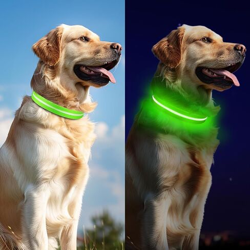 Led Dog Collar for Night Walking,Rechargeable Light Up Dog Collar Led Color,Glow in The Dark Dog Collars Waterproof for Small Medium Large Dogs (Green, Large) in Saudi Arabia