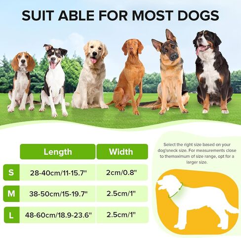 Led Dog Collar for Night Walking,Rechargeable Light Up Dog Collar Led Color,Glow in The Dark Dog Collars Waterproof for Small Medium Large Dogs (Green, Large) in Saudi Arabia