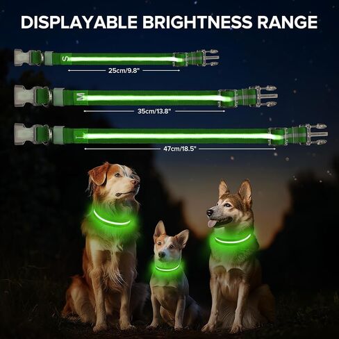 Led Dog Collar for Night Walking,Rechargeable Light Up Dog Collar Led Color,Glow in The Dark Dog Collars Waterproof for Small Medium Large Dogs (Green, Large) in Saudi Arabia