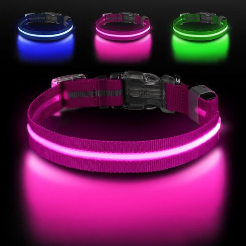 Led Dog Collar for Night Walking,Rechargeable Light Up Dog Collar Led Color,Glow in The Dark Dog Collars Waterproof for Small Medium Large Dogs (Green, Large) in Saudi Arabia