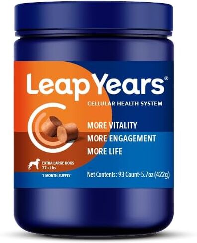 ملحق Leap Years Soft Chew Dog - تركيبة NAD وSenolytic اليومية المثبتة سريريًا؛ دعم الإدراك والحيوية والشيخوخة الخلوية الصحية؛ نكهة لحم البقر (سلالة كبيرة (55-76 رطل)) in Saudi Arabia